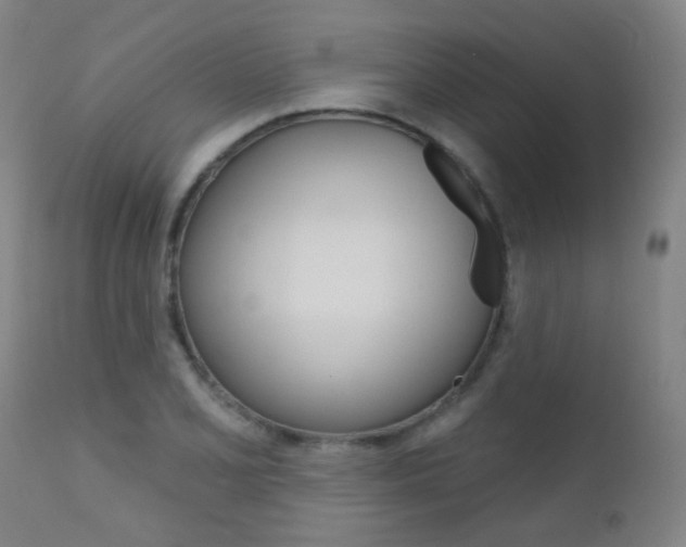 X0000111611077200907171034