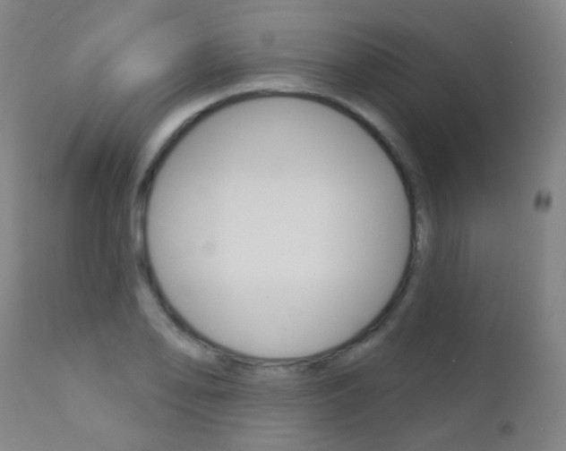 X0000111611078200907171034