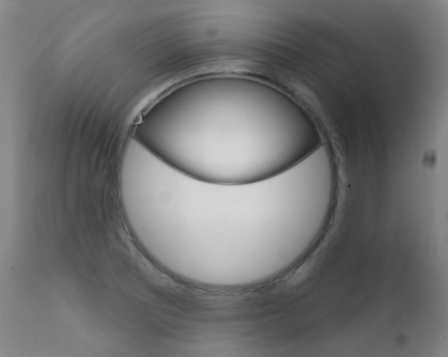 X0000111611081200907171034