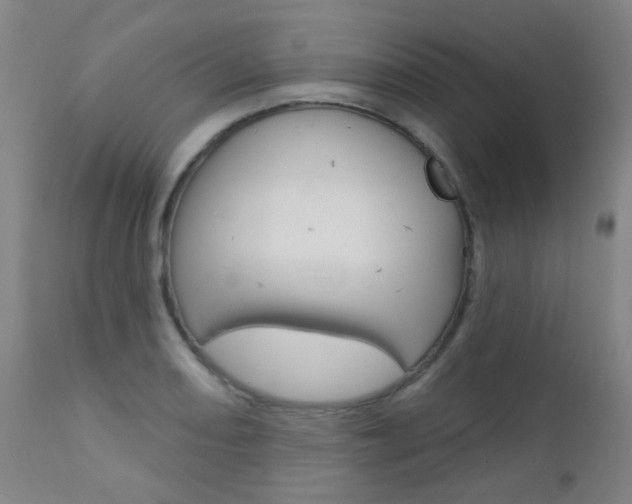 X0000111611082200907171034