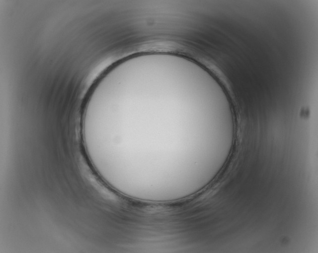 X0000111611083200907171034