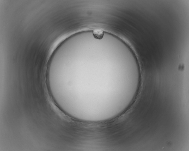 X0000111611085200907171034
