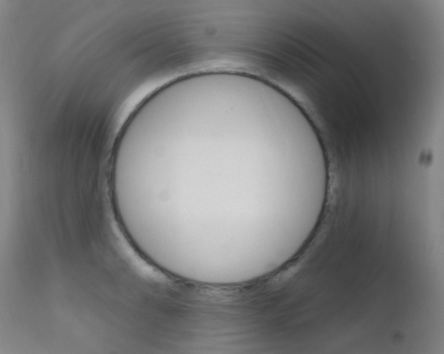 X0000111611086200907171034