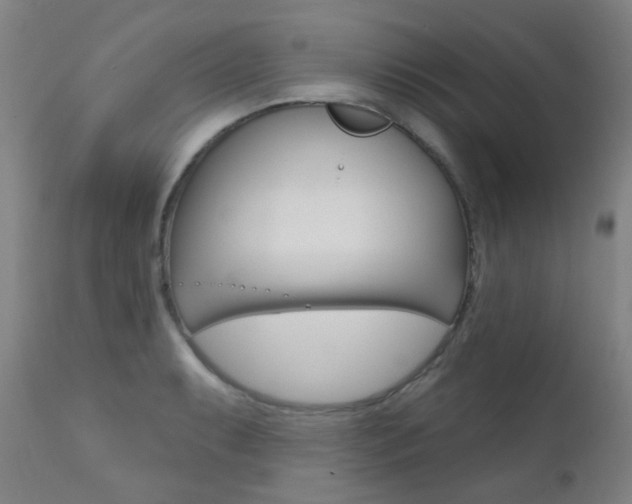 X0000111611087200907171034