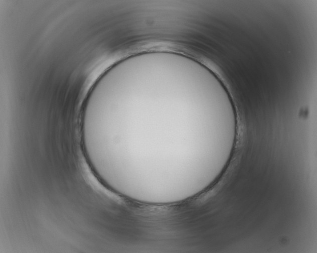 X0000111611090200907171034