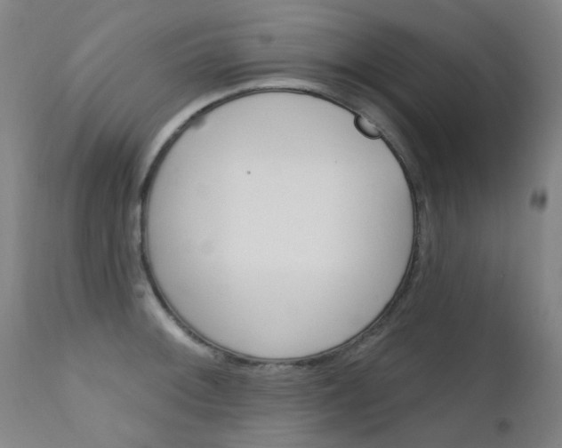 X0000111611092200907171034