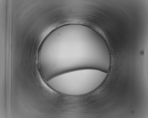 X0000111611095200907171034