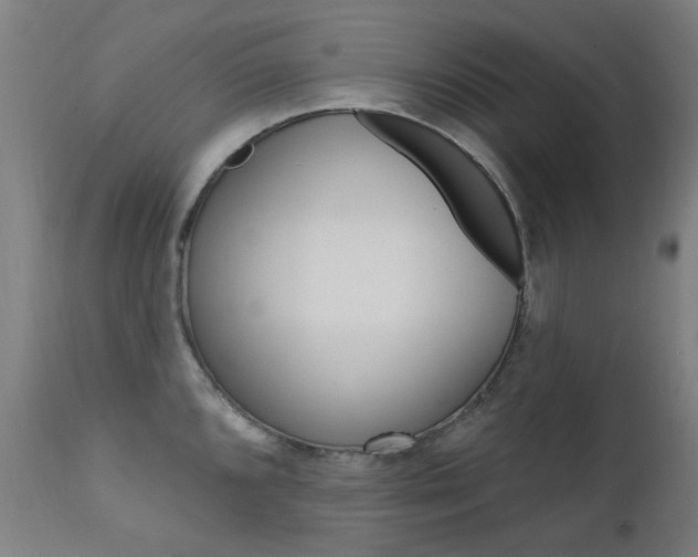 X0000111611096200907171034