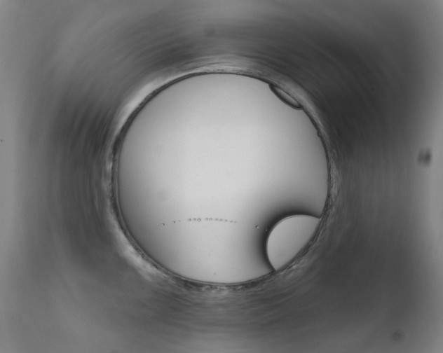 X0000111611099200907171034