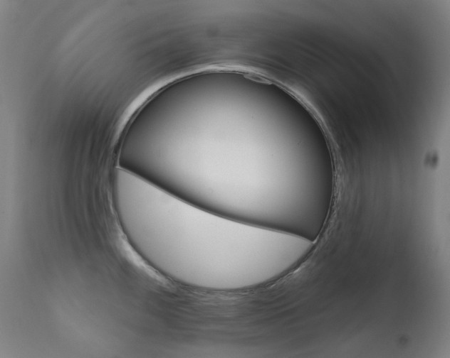 X0000111611100200907171034