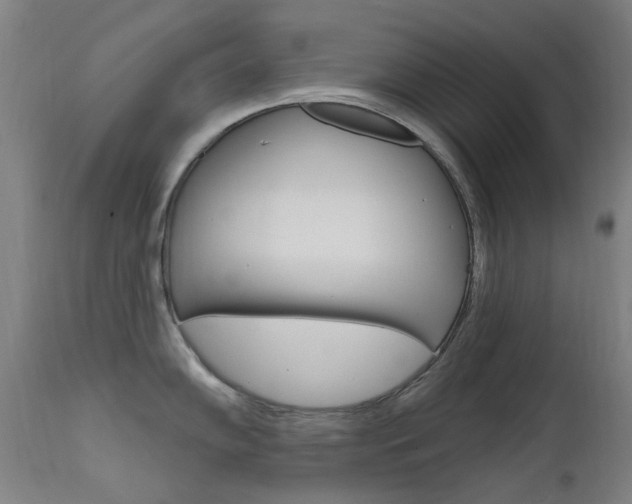 X0000111611102200907171034