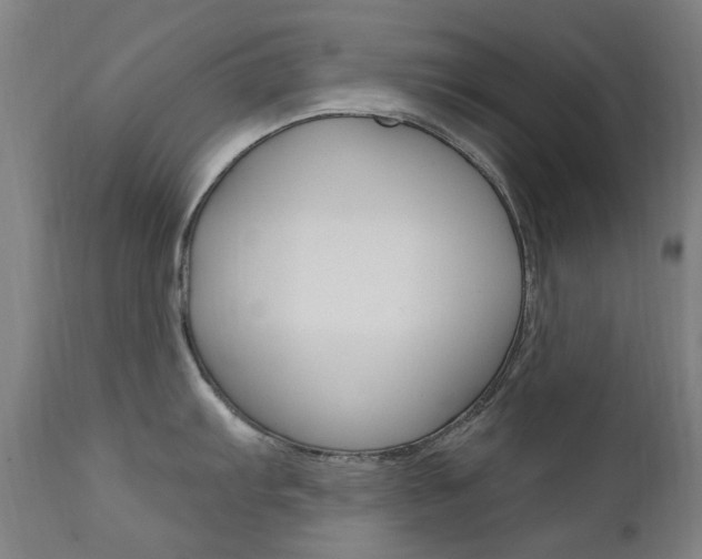 X0000111611103200907171034