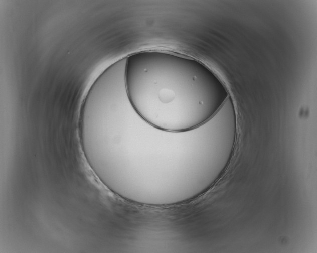 X0000111611104200907171034