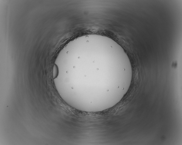 X0000111611105200907171033