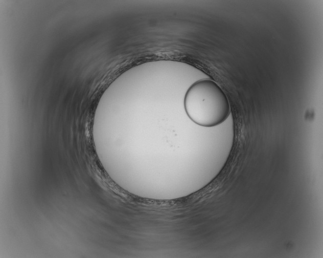 X0000111611106200907171033