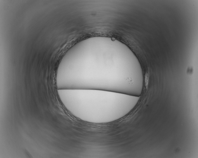 X0000111611107200907171033