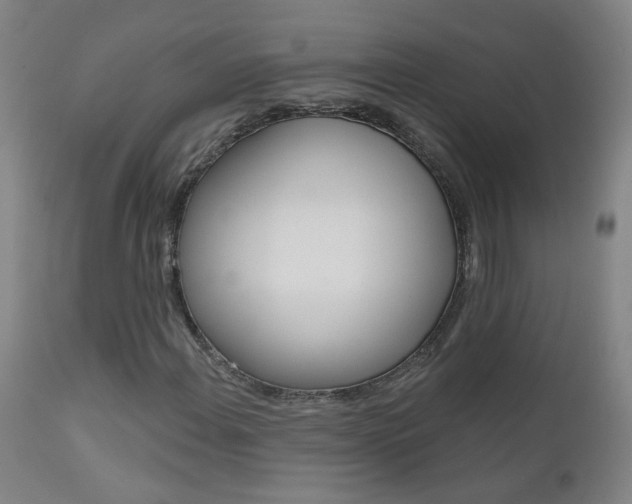 X0000111611108200907171033