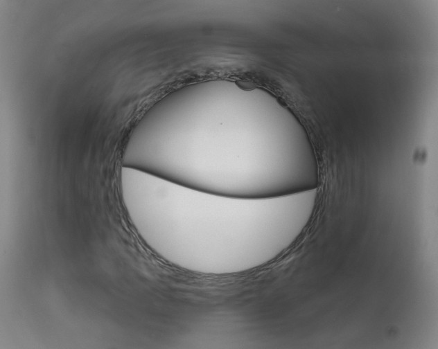 X0000111611109200907171033