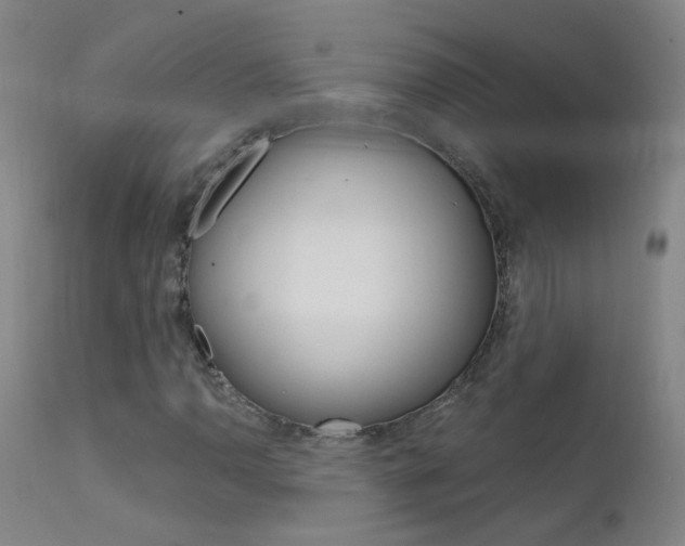 X0000111611110200907171033