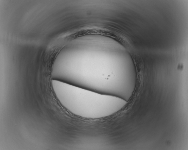X0000111611111200907171033