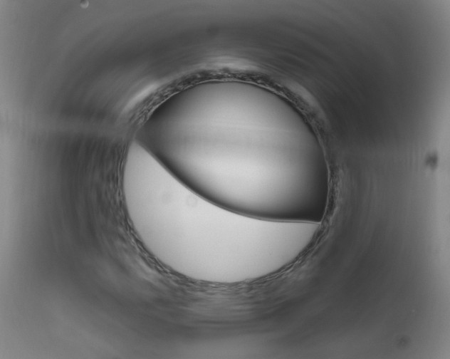 X0000111611112200907171033