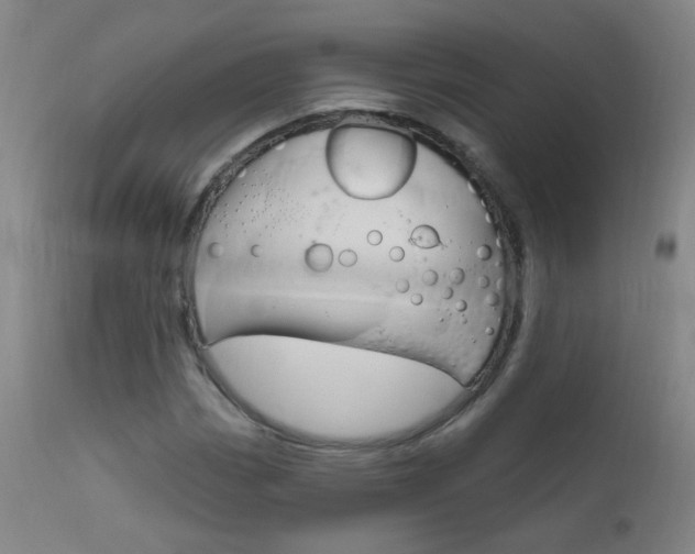 X0000111611113200907171033