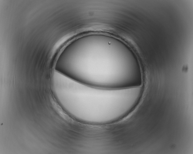 X0000111611114200907171033