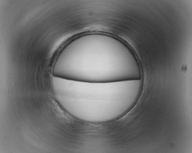 X0000111611115200907171033