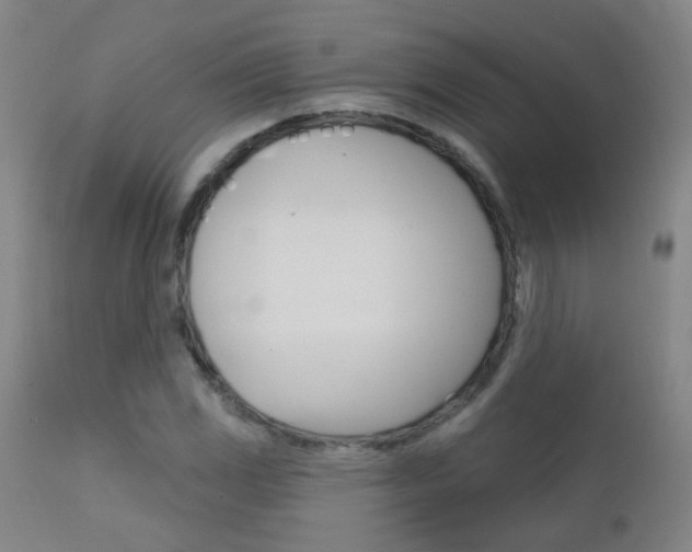 X0000111611117200907171033