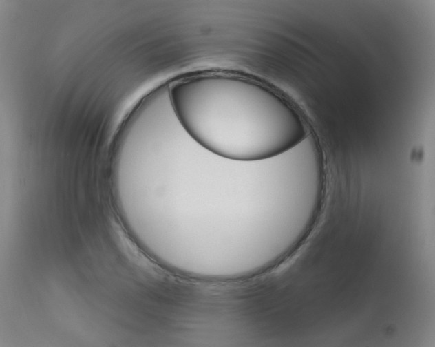 X0000111611118200907171033