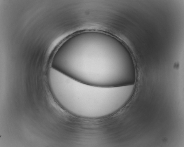 X0000111611120200907171033