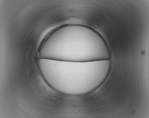X0000111611123200907171033