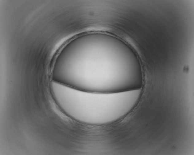X0000111611124200907171033