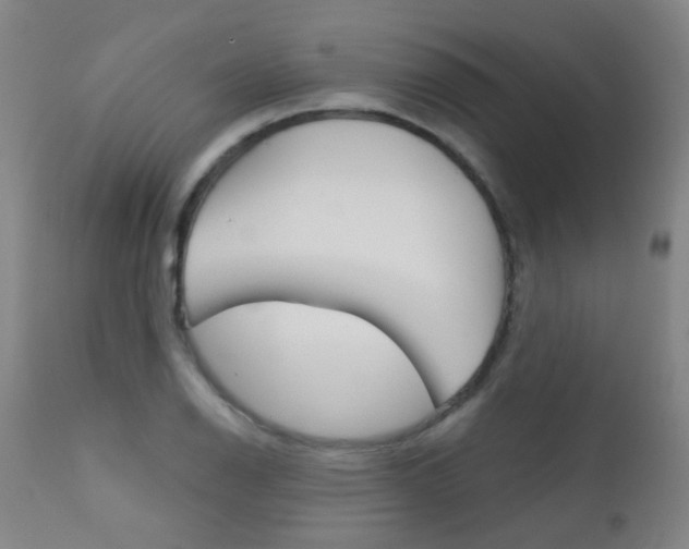 X0000111611126200907171033