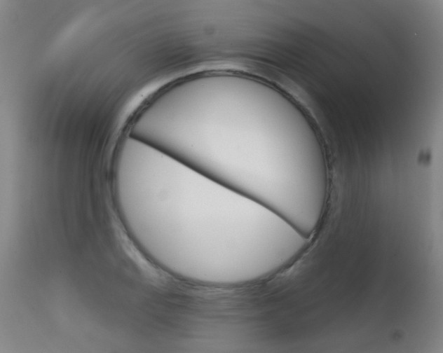 X0000111611127200907171033