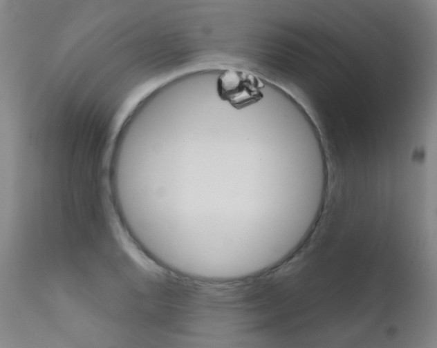 X0000111611128200907171033