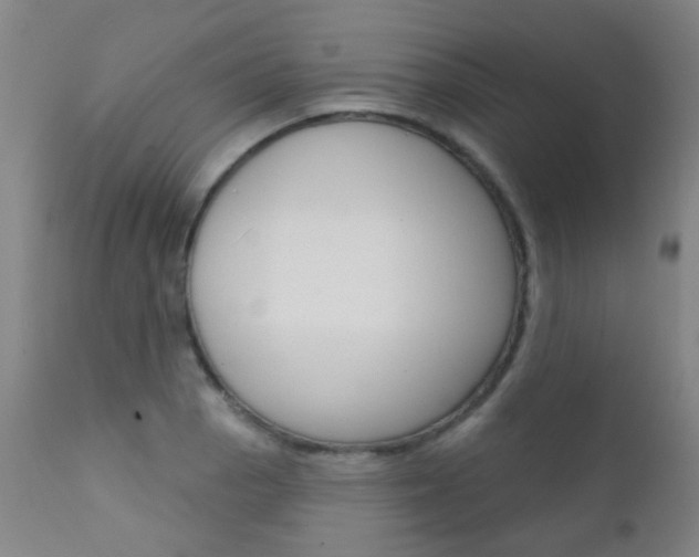X0000111611129200907171033