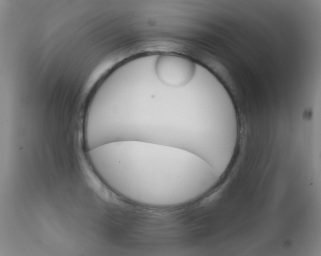 X0000111611130200907171033