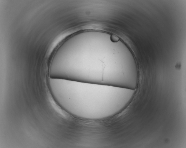 X0000111611131200907171033