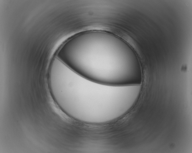 X0000111611132200907171033
