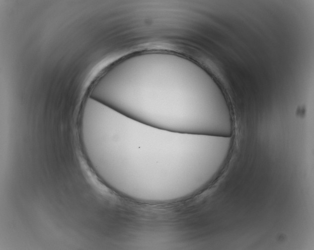 X0000111611133200907171033