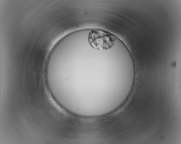 X0000111611134200907171033