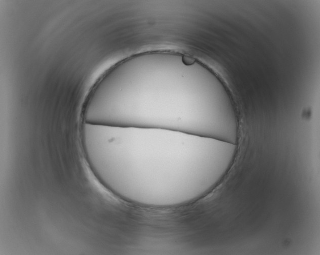 X0000111611135200907171033