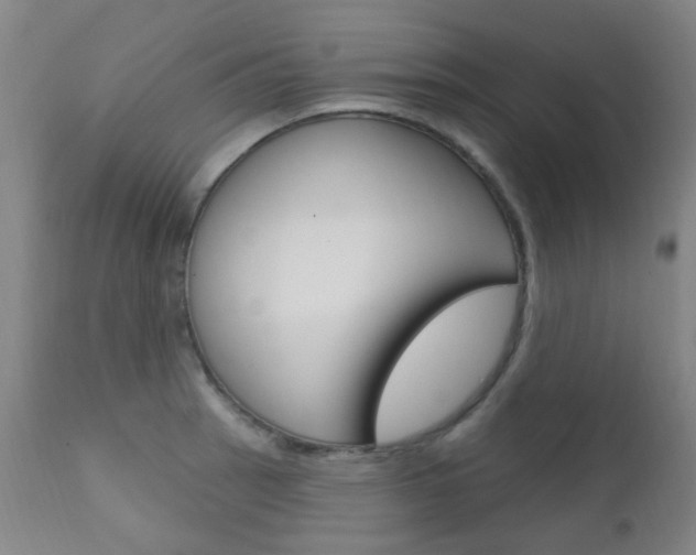 X0000111611137200907171033
