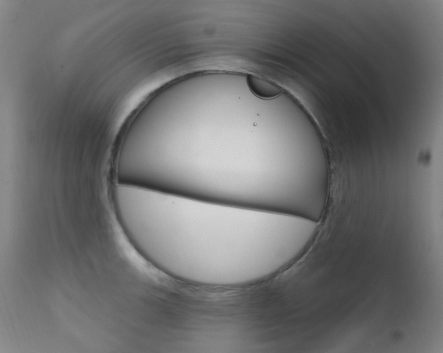X0000111611139200907171033
