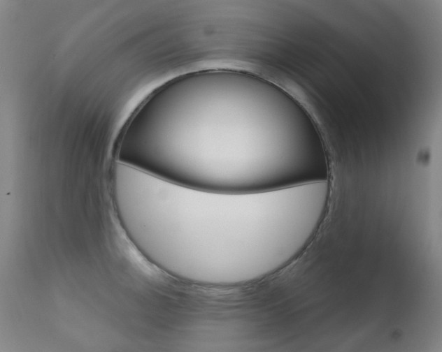 X0000111611140200907171033