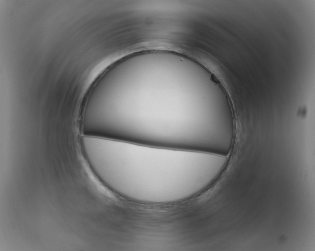 X0000111611141200907171033