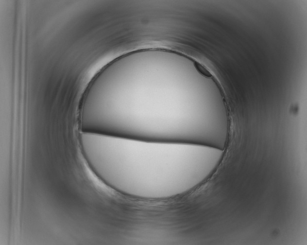 X0000111611143200907171033