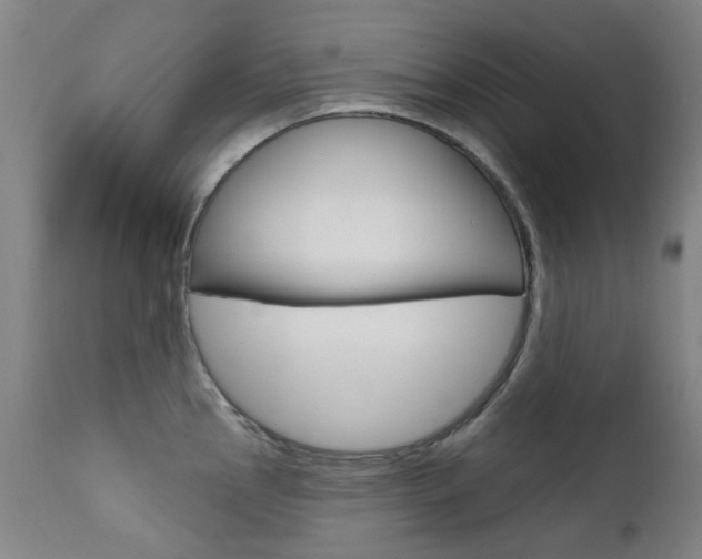 X0000111611145200907171033