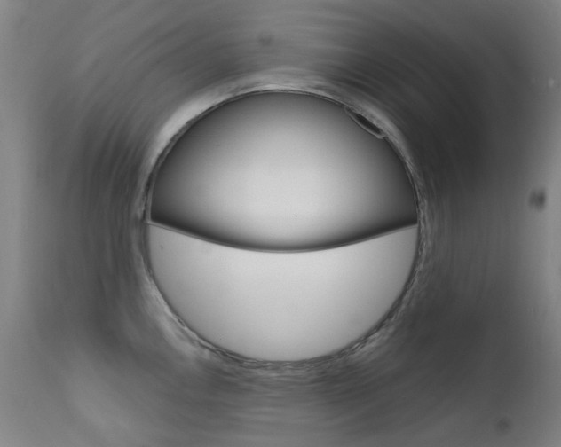 X0000111611146200907171033